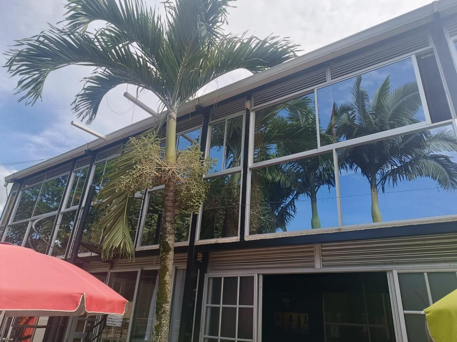 Akuarela Apartamentos Campestres Ibague Ibagué Exterior foto